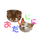 ひこ＆くにゃ 10（個別スタンプ：1）