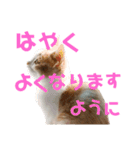 ひこ＆くにゃ 10（個別スタンプ：2）