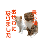 ひこ＆くにゃ 10（個別スタンプ：3）