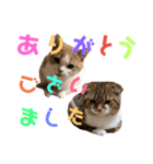 ひこ＆くにゃ 10（個別スタンプ：4）