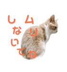 ひこ＆くにゃ 10（個別スタンプ：5）