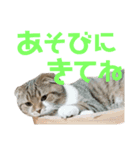 ひこ＆くにゃ 10（個別スタンプ：6）