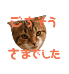 ひこ＆くにゃ 10（個別スタンプ：8）