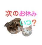 ひこ＆くにゃ 10（個別スタンプ：9）