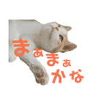 ひこ＆くにゃ 10（個別スタンプ：10）