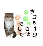 ひこ＆くにゃ 10（個別スタンプ：11）