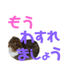 ひこ＆くにゃ 10（個別スタンプ：12）
