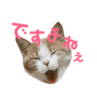 ひこ＆くにゃ 10（個別スタンプ：13）