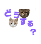 ひこ＆くにゃ 10（個別スタンプ：15）