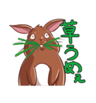 ウサギのジャム（個別スタンプ：6）