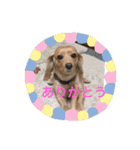 ゆめこ  時々サク☀️（個別スタンプ：5）