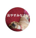 ゆめこ  時々サク☀️（個別スタンプ：15）