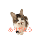 むーひよ（個別スタンプ：2）