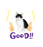 むーひよ（個別スタンプ：4）