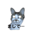 むーひよ（個別スタンプ：7）