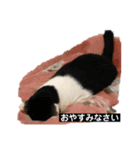 むーひよ（個別スタンプ：8）