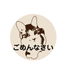 むーひよ（個別スタンプ：9）