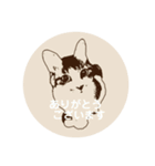 むーひよ（個別スタンプ：10）