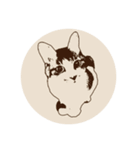 むーひよ（個別スタンプ：14）