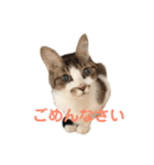 むーひよ（個別スタンプ：21）