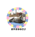 すずなにゃんスタンプ（個別スタンプ：4）