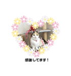 すずなにゃんスタンプ（個別スタンプ：15）