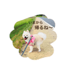 くまとらぽん♡（個別スタンプ：7）