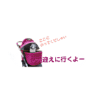 シェルティ ラムとパールの日常③（個別スタンプ：17）