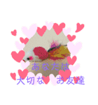 マンチカンのけまりちゃん（個別スタンプ：15）