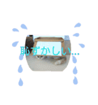 マンチカンのけまりちゃん（個別スタンプ：18）