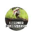 プクちゃん可愛い（個別スタンプ：4）