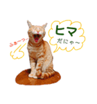 子猫ルナの使える日常会話②（個別スタンプ：9）