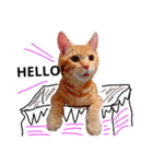 子猫ルナの使える日常会話②（個別スタンプ：10）