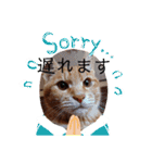 子猫ルナの使える日常会話②（個別スタンプ：18）