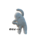 白いひとたち（個別スタンプ：6）
