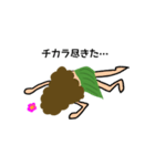 Hula cocoスタンプ（個別スタンプ：13）