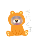 ゆかの柴犬あんたん（個別スタンプ：15）