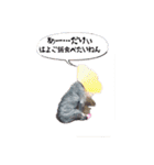 愛犬ぺんすけの日常（女子力高め）（個別スタンプ：10）