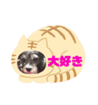 愛犬ぺんすけの日常（女子力高め）（個別スタンプ：15）