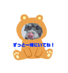 愛犬ぺんすけの日常（女子力高め）（個別スタンプ：24）