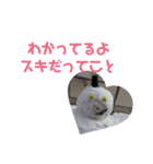 雪だるまのつぶやき（個別スタンプ：1）
