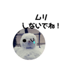雪だるまのつぶやき（個別スタンプ：28）