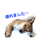 さくらの可愛いシリーズ（個別スタンプ：4）