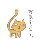 隣のにゃんこ（個別スタンプ：18）