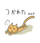 隣のにゃんこ（個別スタンプ：27）