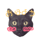 黒猫ジュニ（個別スタンプ：1）