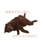黒猫ジュニ（個別スタンプ：2）