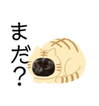 黒猫ジュニ（個別スタンプ：8）