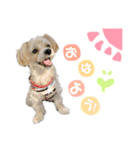 愛ふぁみりースタンプ（個別スタンプ：1）