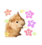愛ふぁみりースタンプ（個別スタンプ：5）